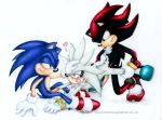 shadow the hedgehog from sega by bluesonikku