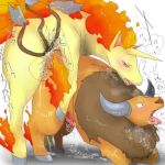 pokemon rapidash tagme tauros