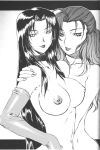 misty moon metropolis v (5) fan art
