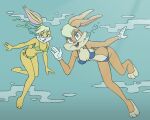  2girls bikini bubbles crossover darkbunny666 female lexi_bunny lola_bunny loonatics_unleashed looney_tunes rabbit shoxxe space_jam swimsuit tagme underwater warner_brothers 