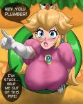 1girl big_breasts blonde_hair blue_eyes breasts echosaber english_text female_only light-skinned_female mario_(series) meme nintendo pipes princess princess_peach sexy sexy_breasts sexy_lips speech_bubble stuck_in_pipe stuck_in_wall super_mario_bros. tagme text warp_pipe