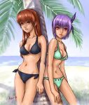  2_girls alluring auburn_hair ayane ayane_(doa) beach bikini brown_eyes day dead_or_alive dead_or_alive_2 dead_or_alive_3 dead_or_alive_4 dead_or_alive_5 dead_or_alive_6 dead_or_alive_xtreme dead_or_alive_xtreme_2 dead_or_alive_xtreme_3 dead_or_alive_xtreme_3_fortune dead_or_alive_xtreme_beach_volleyball dead_or_alive_xtreme_venus_vacation face ha-ru kasumi kasumi_(doa) lavender_hair multiple_girls nekoi_mie outside red_eyes siblings side-tie_bikini_bottom silf sisters swimsuit tecmo 