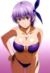  1girl accurate_art_style alluring ayane_(doa) bare_legs big_breasts bikini cleavage dead_or_alive dead_or_alive_2 dead_or_alive_3 dead_or_alive_4 dead_or_alive_5 dead_or_alive_6 dead_or_alive_xtreme dead_or_alive_xtreme_2 dead_or_alive_xtreme_3 dead_or_alive_xtreme_3_fortune dead_or_alive_xtreme_beach_volleyball dead_or_alive_xtreme_venus_vacation doasuki kunoichi lavender_hair posing red_eyes silf tecmo 