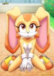 1_anthro 1_female 1_female_anthro 1girl anthro anthro_ears anthro_rabbit bbmbbf breasts brown_eyes cream_fur cream_the_rabbit female_anthro female_only furry furry_ears furry_female furry_only gloves gloves_only kneeling kneeling_female looking_at_viewer mobius_unleashed nipples nude nude_female nude_female_solo orange_fur palcomix rabbit rabbit_ears rabbit_girl sega shoes shoes_only smile sonic_the_hedgehog_(series) spread_legs white_fur