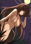 animal_ears breasts brown_eyes brown_hair grass holo horo long_hair nipples nude shijou_sadafumi spice_and_wolf tail