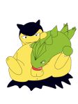  pokemon tagme typhlosion tyranitar 