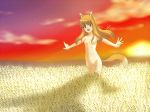 animal_ears bad_id brown_hair field holo horo long_hair nude outstretched_arms red_eyes s-no spice_and_wolf spread_arms sunset tail wheat wolf_ears