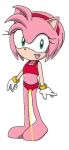  1girl amy_rose bikini_bottom bikini_top pee pink_body pink_hair urine 