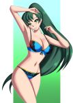 1girl 1girl alluring big_breasts bra breasts cleavage female_only fire_emblem fire_emblem:_the_blazing_blade green_eyes green_hair lingerie lyn_(fire_emblem) nintendo panties pin_up sonicheroxd underwear