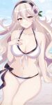  1girl 1girl 1girl alluring alternate_costume bare_arms bare_shoulders big_breasts bikini black_hairband blue_sky cleavage corrin_(fire_emblem) corrin_(fire_emblem)_(female) corrin_(summer)_(fire_emblem)_(female) day female_only fire_emblem fire_emblem_fates fire_emblem_heroes flower grey_hair hair_flower hair_ornament hairband high_res looking_at_viewer n_54 navel nintendo official_alternate_costume outside pointy_chin pointy_ears sitting sky stomach swimsuit thighs white_bikini white_swimsuit 