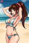  1girl 1girl 1girl alluring alternate_costume armpits beach big_breasts bikini blue_bikini blue_swimsuit breasts brown_eyes brown_hair cleavage female_only fire_emblem fire_emblem:_mystery_of_the_emblem fire_emblem:_shadow_dragon_and_the_blade_of_light hayato_stuff linde_(fire_emblem) long_hair looking_at_viewer nintendo ocean open_mouth outside ponytail sideboob smile swimsuit 