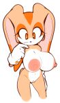  breasts cleft_of_venus completely_naked completely_nude completely_nude_female cream_the_rabbit cub furry furry_female gloves mystical nude nude_female oppai pussy sega sega simple_background sonic_the_hedgehog_(series) white_hair 