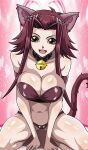  1girl akiza_izinski alluring big_breasts bra brown_eyes cat_ears_hairband cat_tail cleavage izayoi_aki magenta_hair panties underwear yu-gi-oh! yxyyxy 