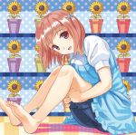  1girl barefoot brown_eyes brown_hair dress feet female hataraku_maou-sama! kichiroku legs sasaki_chiho short_hair shorts sitting smile solo 