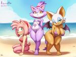  amy_rose blaze_the_cat fanart hedgehog_girl mobian_(species) rouge_the_bat sega 