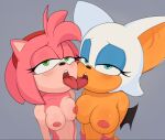  amy_rose hedgehog_girl rouge_the_bat sega sonic_the_hedgehog_(series) 