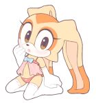  1girl cream_the_rabbit fanart furry_female rabbit_girl rule34 rule_34 sega sonic_the_hedgehog_(series) 