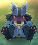  3_toes ambiguous_gender blue_body blue_fur blush bodily_fluids dagasi embarrassed feet fur gen_4_pokemon glistening glistening_body grass lucario male nintendo pawpads plant pokemon pokemon_(species) portal portal_ring scared soles sweat tears thinking_with_portals toes 