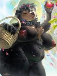 1girl 1girl anthro apple basket belly big_breasts breasts chest_tuft flower food fruit inverted_nipples levelviolet mammal neck_tuft nipples plant pussy slightly_chubby thick_thighs tuft ursid voluptuous wide_hips