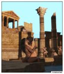 3d amazon background_sex black_hair brown_hair crossover dark-skinned_female dark_skin diana_prince fit fit_female greek kissing lara_croft light-skinned_female light_skin muscular muscular_female nude nude_female orgy palace passionate poseidonx tomb_raider wonder_woman wonder_woman_(series) yuri yuri