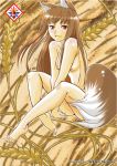 1girl animal_ears artist_name barefoot brown_hair feet female full_body hair holo horo long_hair nude red_eyes solo spice_and_wolf tsuyusawa_michihiro wheat wolf_ears wolf_tail