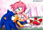  1boy 1girl amy_rose bbmbbf cupid diamond_level mobius_unleashed palcomix pietro&#039;s_secret_club sega sonic_the_hedgehog sonic_the_hedgehog_(series) tagme underwear 