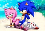 amy_rose balls bbmbbf blush bra doggy_position from_behind looking_at_another looking_back mobius_unleashed palcomix panties penis sega sonic sonic_the_hedgehog