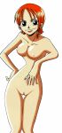 nami (one piece) from one piece