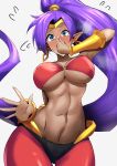  1girl abs alluring athletic_female big_breasts blue_eyes bra breasts clash_kuro_neko covered_erect_nipples covering_nose dark-skinned_female dark_skin earrings female_abs fit_female jewelry long_hair pants pointy_ears ponytail purple_hair shantae shantae_(character) shantae_(series) underwear very_long_hair 