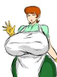 dexter's_laboratory dexter's_mom gigantic_ass gigantic_breasts hourglass_figure momiji_(artist)