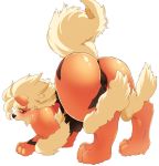  arcanine arcanine ass black_eyes blush canine creatures_(company) fire_type_pokemon furry game_freak gen_1_pokemon mane nintendo orange_fur pokemon pokemon_(anime) pokemon_(creature) pokemon_(game) pokemon_(species) pussy striped_fur windie_(pokemon) 