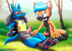 2boys anthro ball_gag balls barefoot bbmbbf bondage crossover diamond_level erection furry gag gagged lucario male male/male male_only mobian_(species) mobius_unleashed nintendo nude original_character palcomix pants_down penis pietros_secret_club pokemon pokemon_(species) pokepornlive pulling_down_pants rope rope_bondage sega sega sonic_the_hedgehog_(series) teeth undressing yaoi yaoi