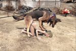 beastiality doggy_position dogmeat fallout_4 gif