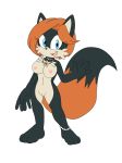  ankle_bracelet ankle_bracelets barefeet black_choker black_fur breasts chain dirrty_foxxx flower_necklace nude orange_fur pussy rio_the_fox sega sonic_(series) sonic_fan_character sonic_fancharacter sonic_oc two_tone_fur vixen 