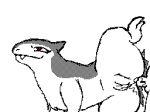 typhlosion from pokemon by lpb