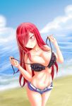 erza scarlet from fairy tail