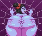 2020 2020s animated anus arachnid ass ass_focus ass_grab big_ass double_v female gif grabbing_own_ass muffet pixel_(artwork) pixel_animation pixel_art pussy spider spider_girl spider_web spinneborg spread_anus undertale undertale_(series) v v_sign video_games