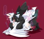 creatures_(company) game_freak humans_of_pokemon legendary_pokemon nintendo pokemon pokemon_(anime) pokemon_(game) reshiram zekrom