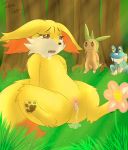  chespin fennekin froakie glaceonx pokemon porkyman 