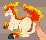 anus pokemon porkyman pussy rapidash ryunwoofie