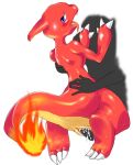  charmeleon nintendo pokemon wkar 