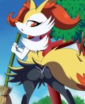 braixen broom butt canine digitigrade female fox lonbluewolf looking_at_viewer nintendo panties pokemon pokã©mon presenting presenting_hindquarters red_eyes solo sweat underwear video_games wide_hips