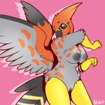  2013 5_fingers anthro anthrofied avian beak big big_nipples bird black_fur breasts claws feathers female fur furry grey_eyes grey_fur looking_back looking_down nintendo nipples nude nut-case orange_fur pokemon pussy raised_arm red_fur solo standing talonflame video_games wings yellow_fur 