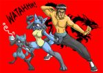  bittenhard bruce_lee lucario pokemon riolu 