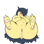  pokemon porkyman python13rp sildre typhlosion 