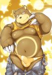 bear belt biceps black_nose body_markings brown_fur bulge chubby claws clothing fur grizzly_bear looking_at_viewer male markings midriff nintendo nipples pants pants_down pokemon shirt shirt_lift solo speedo swimsuit underwear undressing ursaring video_games whinge