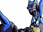 lucario pokemon porkyman riolu