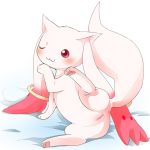 kyubey mahou_shoujo_madoka_magica pokemon rule_63