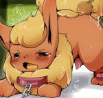 anal anal_insertion blush booster_(pokemon) carrot collar creatures_(company) eeveelution flareon furry game_freak gen_1_pokemon nintendo open_mouth orange_fur pokemon pokemon_(anime) pokemon_(creature) pokemon_(game) pokemon_(species) tail tears