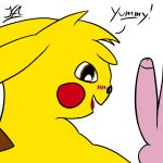 pikachu from nintendo